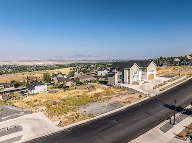 Aerial perspective of suburban area featuring a mountainous background
