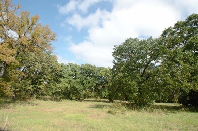 21.7 Ac Reeves Rd, Pottsboro, TX 75076 - photo 2