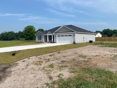 3052 Condor Ct, Deep Run, NC 28525 - photo 5