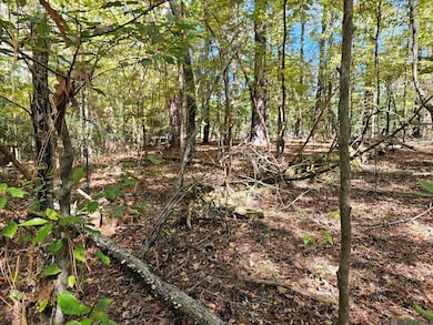 TBD Tunica Trace, Saint Francisville, LA 70775 - photo 6