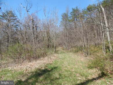 0 Highland Ridge Rd unit 1000167637, Berkeley Springs, WV 25411 - photo 3