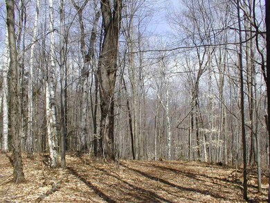 L20.2 Goldey Rd, Huletts Landing, NY 12841 - photo 4