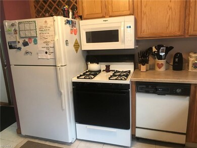 All kitchen appliances stay