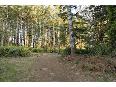 0 Elk City Rd, Toledo, OR 97391 - photo 4