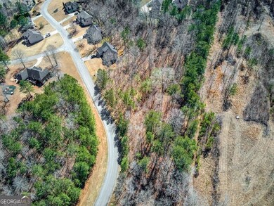 263 Principal Meridian Dr, Dallas, GA 30132 - photo 2