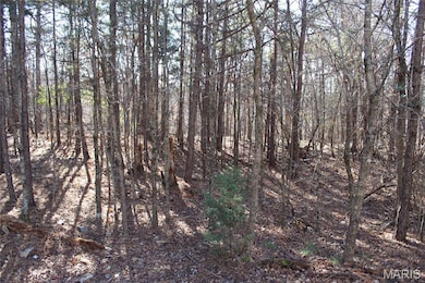 202 Mount Ash Ln, Poplar Bluff, MO 63901 - photo 4