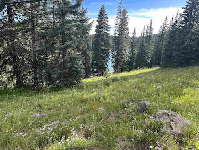 21344 Hilltop Dr, Cedaredge, CO 81413 - photo 4