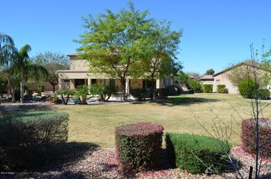 backyard1