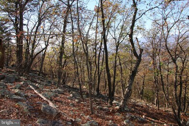 0 Cedar Rd, Strasburg, VA 22657 - photo 6