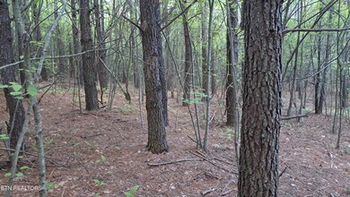 Lot 21 Airport Rd (Pca), Rockwood, TN 37854 - photo 5