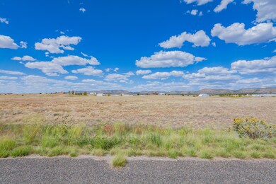 24xx W Hard Cider Trail, Paulden, AZ 86334 - photo 5