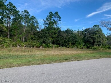 19501 Witts End, Alva, FL 33920 - photo 3