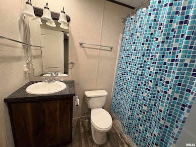 308 S Main St, Iuka, IL 62849 - photo 4