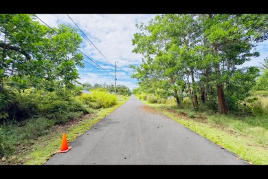 Approximate boundaries of lot 590 marked by cones.  Photo taken looking in the direction of Kahakai Blvd.