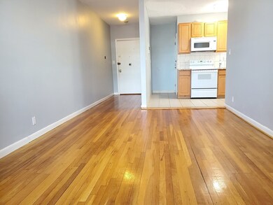 317 Summit Ave unit 6, Brighton, MA 02135 - photo 4