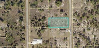 1619 Wellington Ave, Lehigh Acres, FL 33972 - photo 2