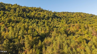 0 Black Valley Rd unit 9988388, Sneedville, TN 37869 - photo 5