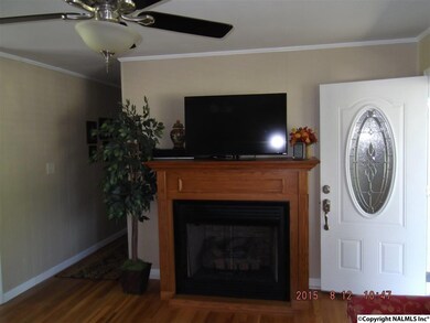 802 Nethery Rd SW, Hartselle, AL 35640 - photo 3