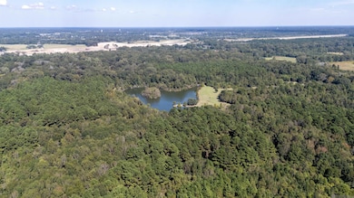 B-1-A Old Scenic Hwy, Zachary, LA 70791 - photo 4