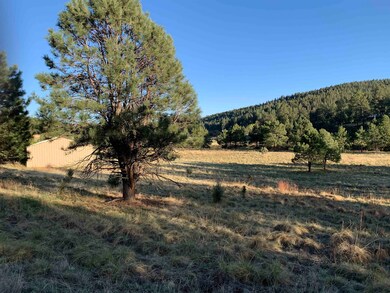 Lot 3 James Canyon Hwy unit 3, Cloudcroft, NM 88317 - photo 4