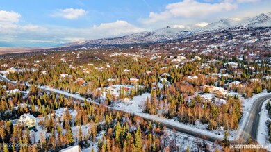 2-DJI_0306