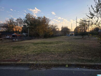 1725 26th Ave S, Homewood, AL 35209 - photo 3