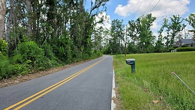 95 E Plum St, Hazlehurst, GA 31539 - photo 3