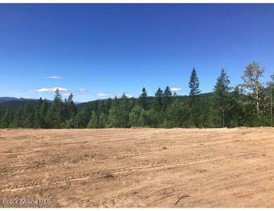 387 Turtle Rock Rd, Sandpoint, ID 83864 - photo 3