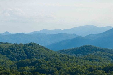 TBD Eastside Duck Mountain Rd, Scaly Mountain, NC 28775 - photo 3