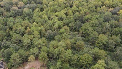 0 Lincoln St, Houston, TX 77088 - photo 4