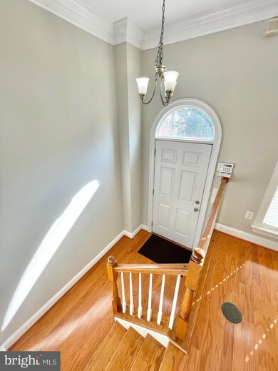 1507 Portner Rd unit 3, Alexandria, VA 22314 - photo 3
