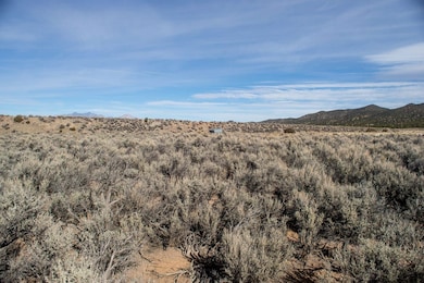 0 Sangre de Cristo Ranch unit H Blk 100 Lot 4, Fort  Garland, CO 81133 - photo 4
