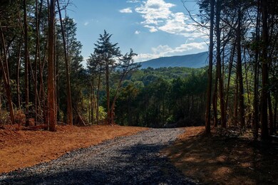 Lot 2 Shuler Ln, Stanley, VA 22851 - photo 5