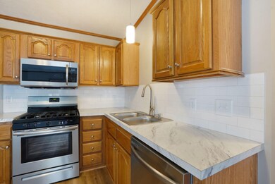 717 Amity St SE, Lowell, MI 49331 - photo 6