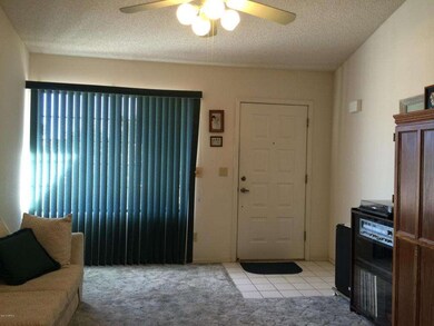 Front Entry/ Living Area