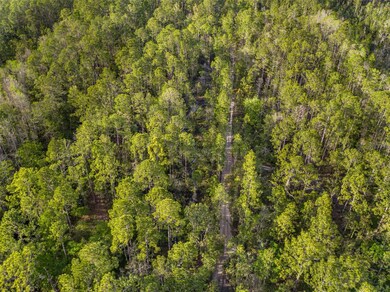 0 12th Ave unit MFRT3503635, Deland, FL 32724 - photo 7