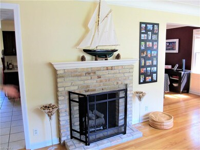 Living Room Fireplace
