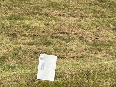 487  Lot 77 Bull Run, East Bernstadt, KY 40729 - photo 4