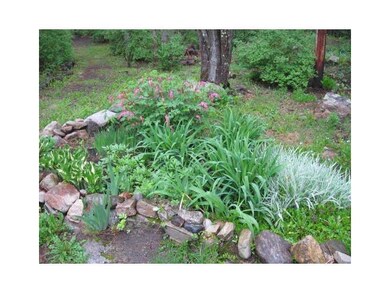Yard/Garden.