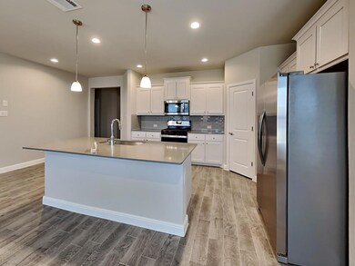 2348 Waggoner Ranch Dr, Weatherford, TX 76087 - photo 3