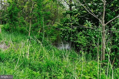 800 Country Brook Rd, Toms Brook, VA 22660 - photo 7