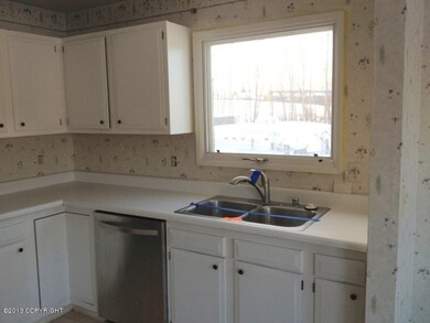 Kitchen Sink & DW