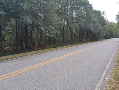 00000 Spice Pond Rd, Mobile, AL 36613 - photo 3