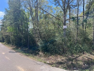 TBD Woodlane A Block 2 Lot 10, Splendora, TX 77372 - photo 7