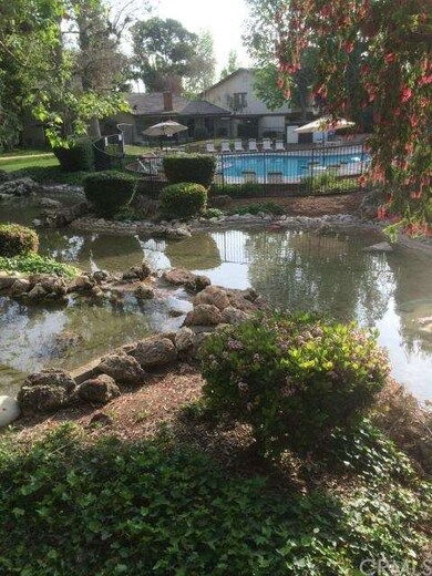 view from back patio
