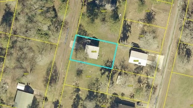 100 Happiness Hollow, Coldspring, TX 77331 - photo 7