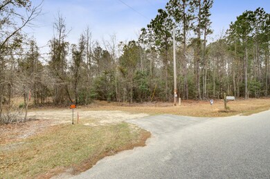 0 Alligator Ln, Andrews SC (3)