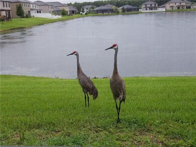11560 Crestridge Loop, New Port Richey, FL 34655 - photo 2