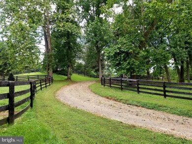 11151 1151 S Poes Rd, Flint Hill, VA 22627 - photo 4