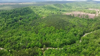 Birds eye view of property featuring a mountain vi
